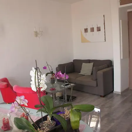 Le Louvre Apartment *